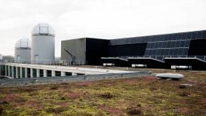 Het groene dak op hoofdgebouw 904 van Science Park.